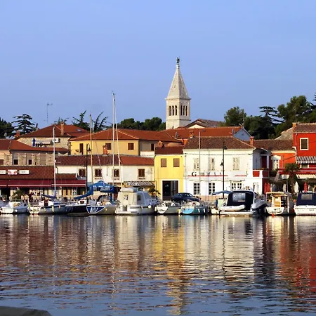 Family-friendly With Swimming Pool Novigrad - 25236 Apartment