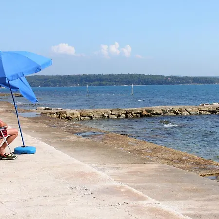 Family-friendly With Swimming Pool Novigrad - 25236